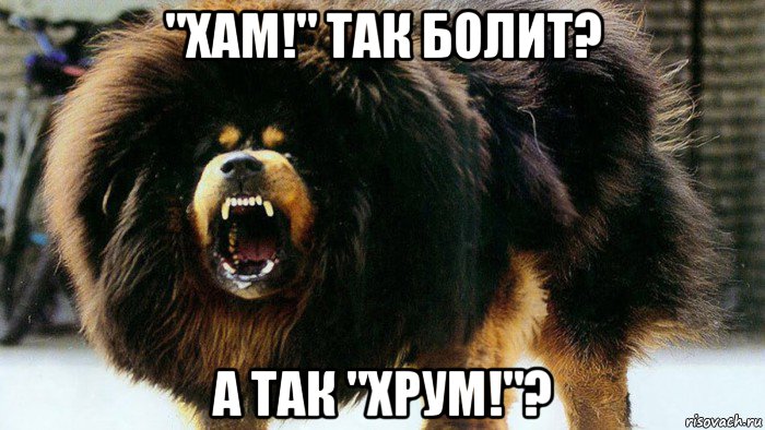 "хам!" так болит? а так "хрум!"?