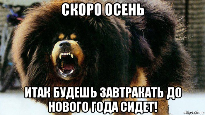 скоро осень итак будешь завтракать до нового года сидет!