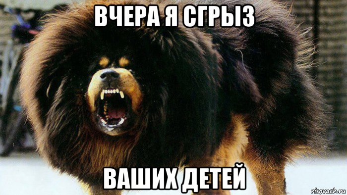 вчера я сгрыз ваших детей