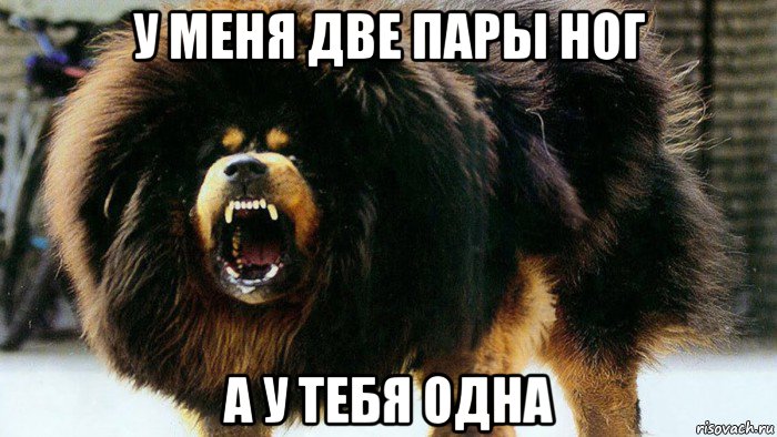 у меня две пары ног а у тебя одна