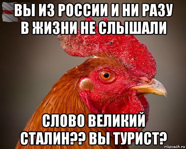 вы из россии и ни разу в жизни не слышали слово великий сталин?? вы турист?