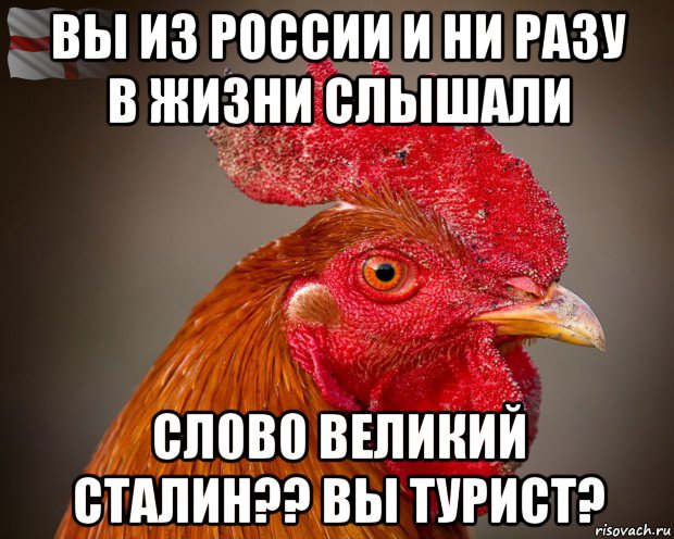 вы из россии и ни разу в жизни слышали сл0в0 великий сталин?? вы турист?