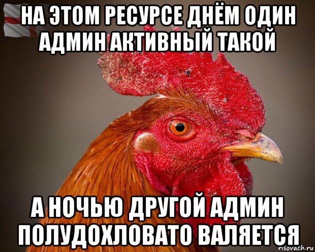 на этом ресурсе днём один админ активный такой а ночью другой админ полудохловато валяется