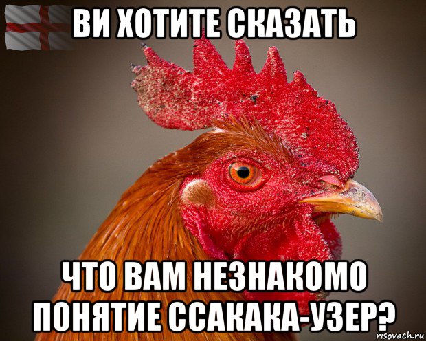 ви хотите сказать что вам незнакомо понятие ссакака-узер?