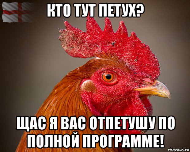 кто тут петух? щас я вас отпетушу по полной программе!