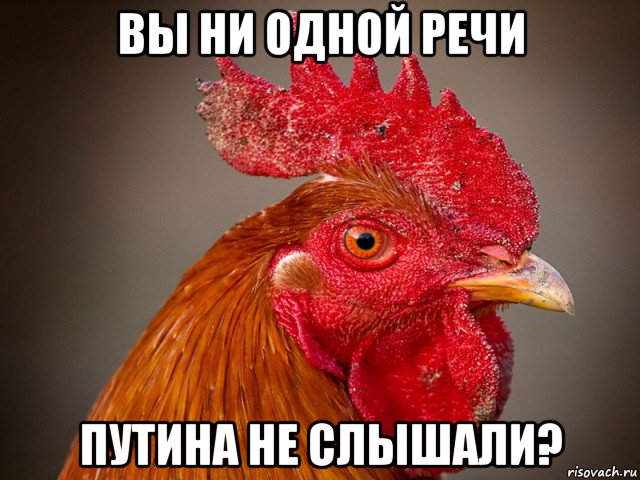 вы ни одной речи путина не слышали?