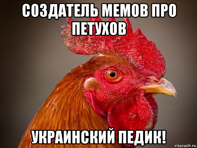 создатель мемов про петухов украинский педик!