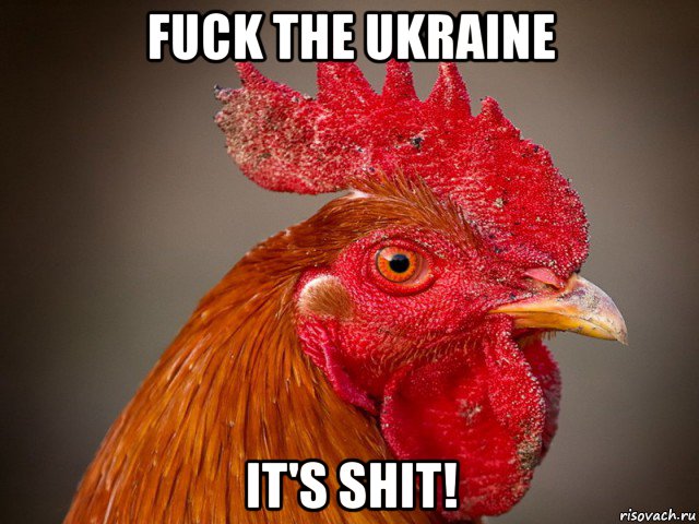 fuck the ukraine it's shit!