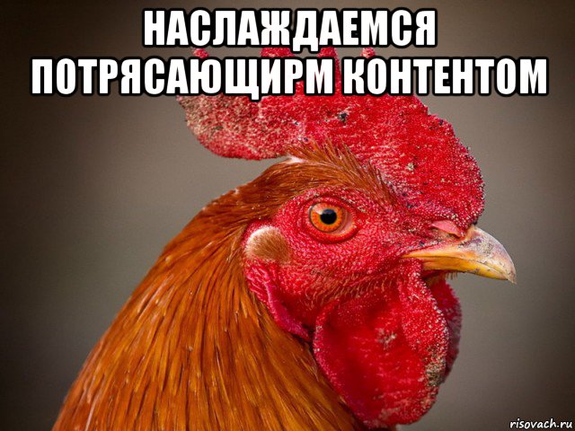 наслаждаемся потрясающирм контентом 