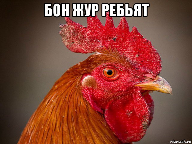 бон жур ребьят 