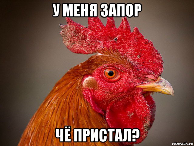 у меня запор чё пристал?, Мем Типичный петух-совок
