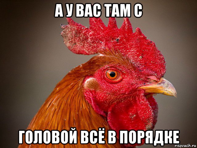а у вас там с головой всё в порядке, Мем Типичный петух-совок