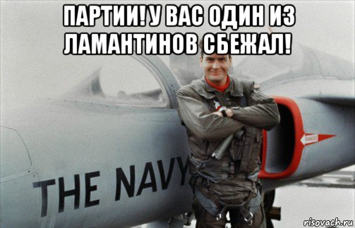 партии! у вас один из ламантинов сбежал! 