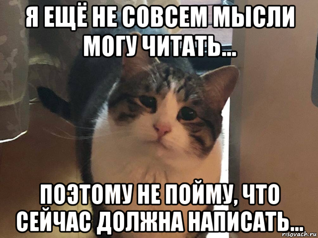 я ещё не совсем мысли могу читать... поэтому не пойму, что сейчас должна написать...