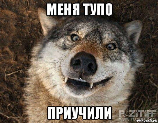 меня тупо приучили