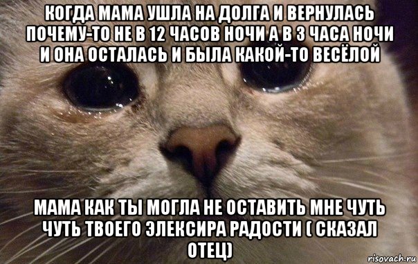 когда мама ушла на долга и вернулась почему-то не в 12 часов ночи а в 3 часа ночи и она осталась и была какой-то весёлой мама как ты могла не оставить мне чуть чуть твоего элексира радости ( сказал отец), Мем   В мире грустит один котик