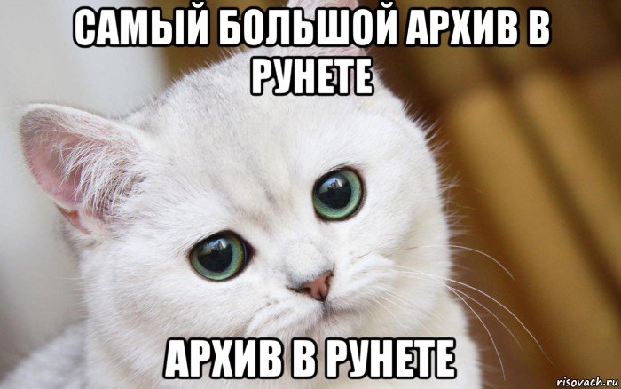 самый большой архив в рунете архив в рунете, Мем  В мире грустит один котик