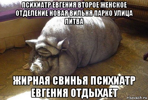 психиатр евгения второе женское отделение новая вильня парко улица литва жирная свинья психиатр евгения отдыхает