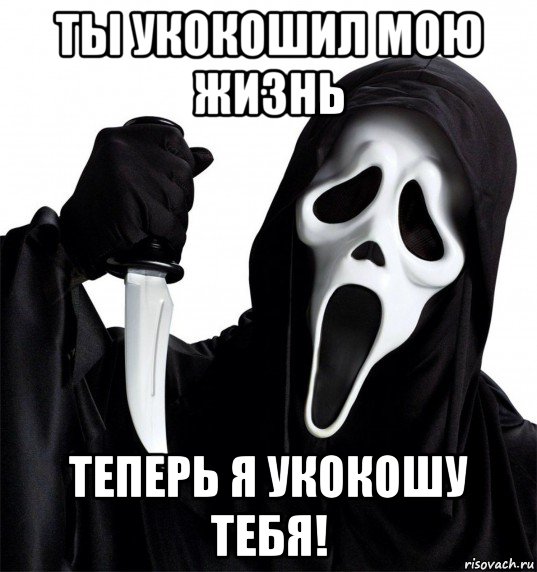 ты укокошил мою жизнь теперь я укокошу тебя!