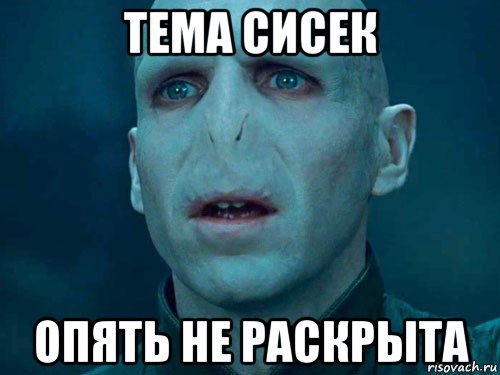 тема сисек опять не раскрыта