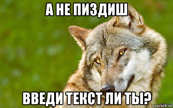 а не пиздиш введи текст ли ты?, Мем   Volf