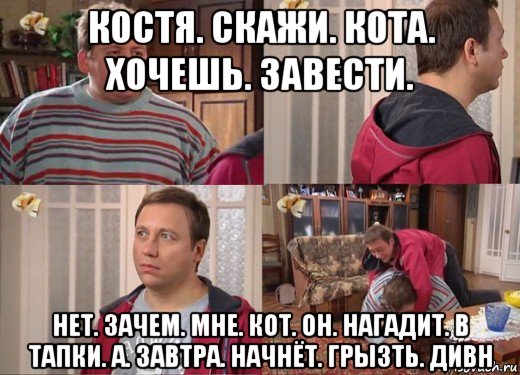 костя. скажи. кота. хочешь. завести. нет. зачем. мне. кот. он. нагадит. в тапки. а. завтра. начнёт. грызть. дивн