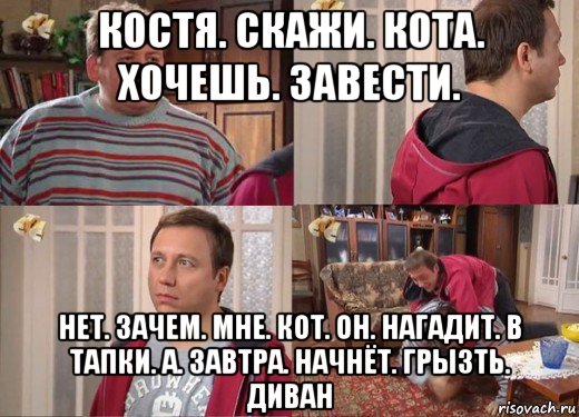 костя. скажи. кота. хочешь. завести. нет. зачем. мне. кот. он. нагадит. в тапки. а. завтра. начнёт. грызть. диван