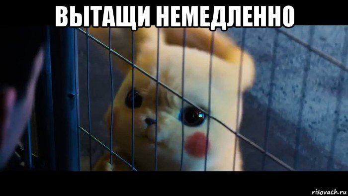 вытащи немедленно 