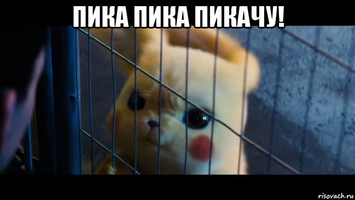 пика пика пикачу! 