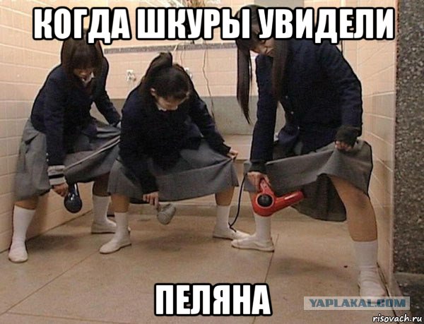 когда шкуры увидели пеляна, Мем Японки