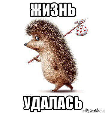 жизнь удалась