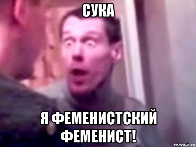 сука я феменистский феменист!, Мем Запили