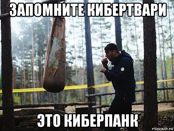 запомните кибертвари это киберпанк