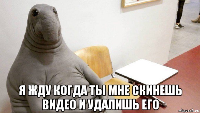  я жду когда ты мне скинешь видео и удалишь его