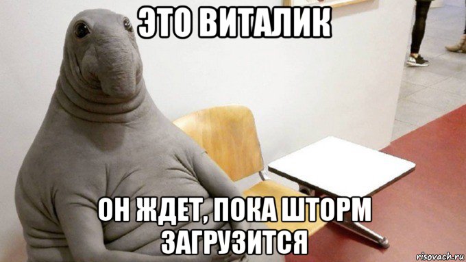это виталик он ждет, пока шторм загрузится