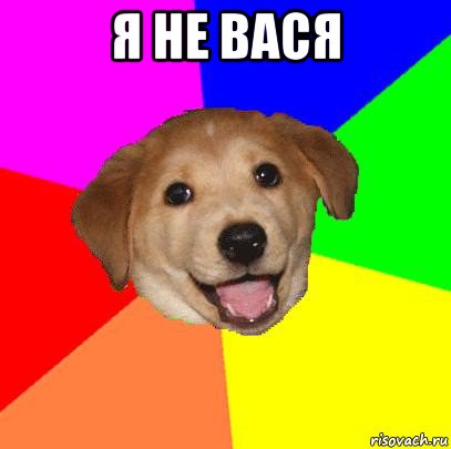 я не вася , Мем Advice Dog