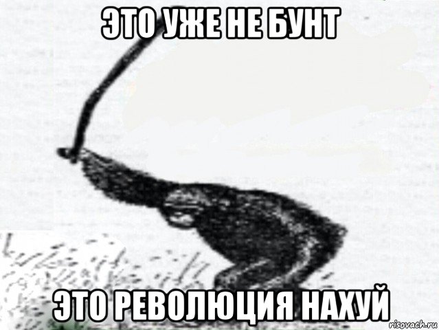 это уже не бунт это революция нахуй