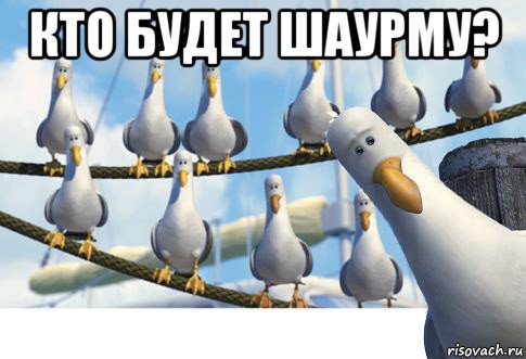 кто будет шаурму? 