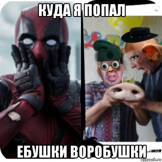 куда я попал ебушки воробушки