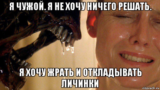 я чужой. я не хочу ничего решать. я хочу жрать и откладывать личинки