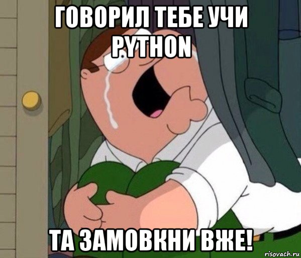 говорил тебе учи python та замовкни вже!, Мем Да заткнись ты уже