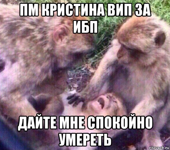 пм кристина вип за ибп дайте мне спокойно умереть