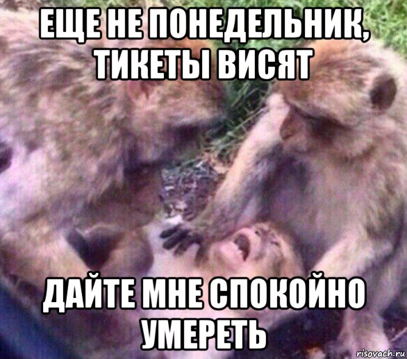 еще не понедельник, тикеты висят дайте мне спокойно умереть