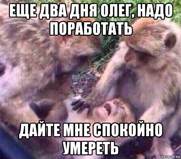 еще два дня олег, надо поработать дайте мне спокойно умереть