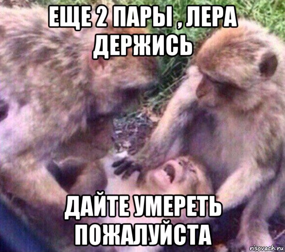 еще 2 пары , лера держись дайте умереть пожалуйста