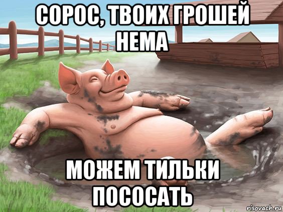 сорос, твоих грошей нема можем тильки пососать