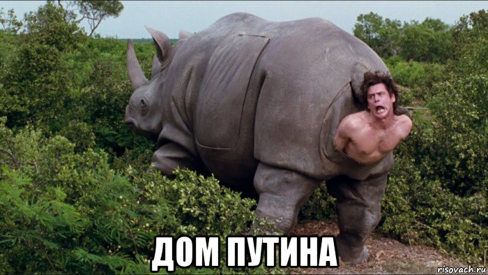  дом путина