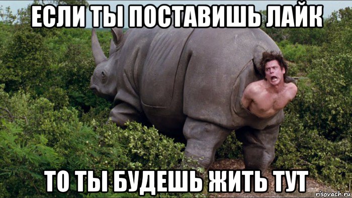 если ты поставишь лайк то ты будешь жить тут