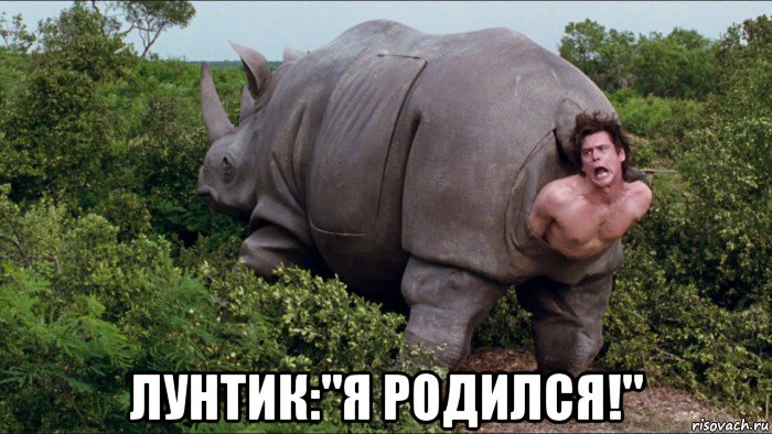  лунтик:"я родился!"