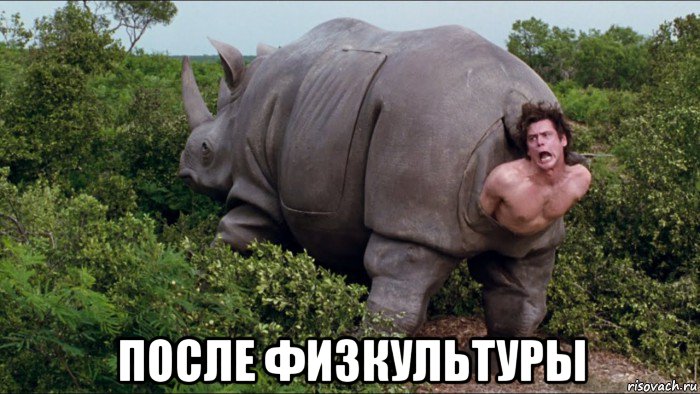  после физкультуры